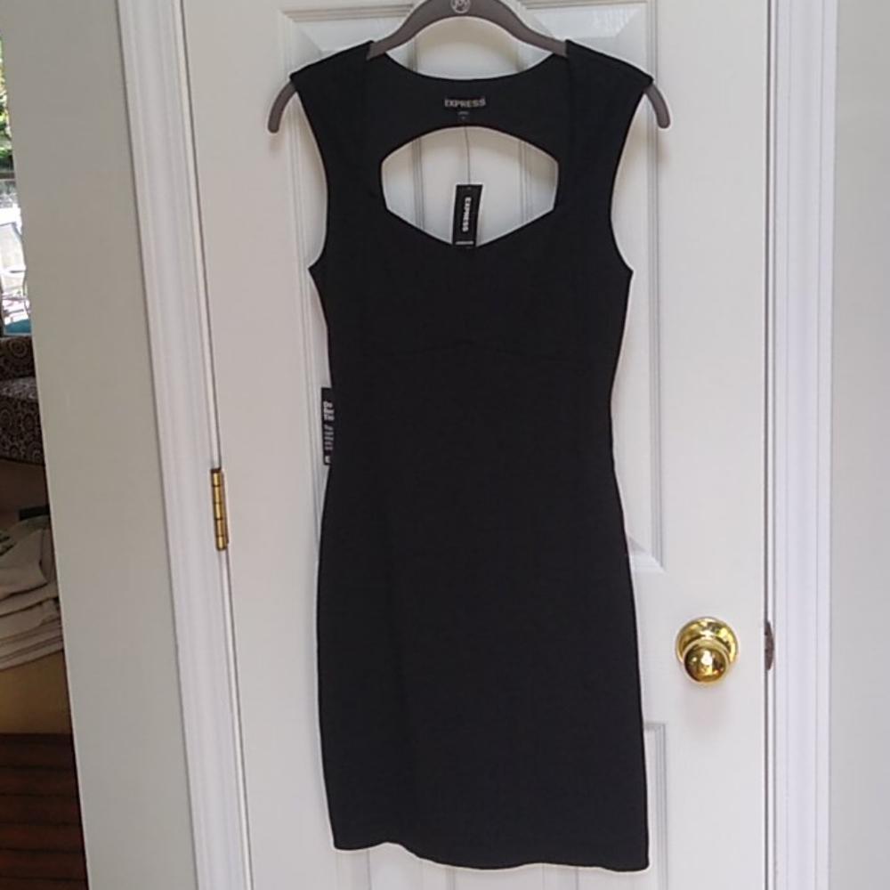 NWT Express Bodycon Dress